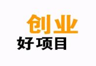 风口热点虚拟暴利项目，批量操作利润可达四位数