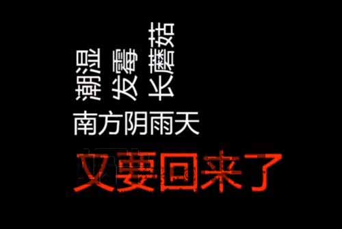 【项目拆解】原创文字动画视频，软件自动生成，不拍不剪还快，适合任何领域