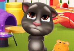 全网最新项目：会说话的汤姆猫直播搭建教程（附教学流程）