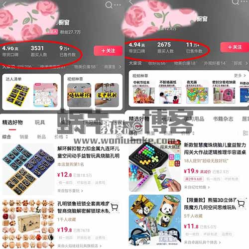 抖音视频带货益智玩具，小众蓝海月入10000+