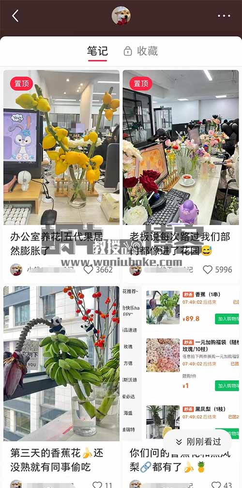 小红书导流快团团卖货实操案例，日引200+精准粉