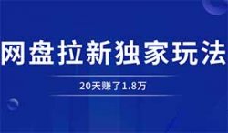 做网盘拉新项目，20天赚了1.8万，他只用了一招