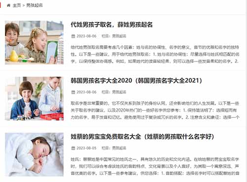 利用AI操作SEO，月入十万