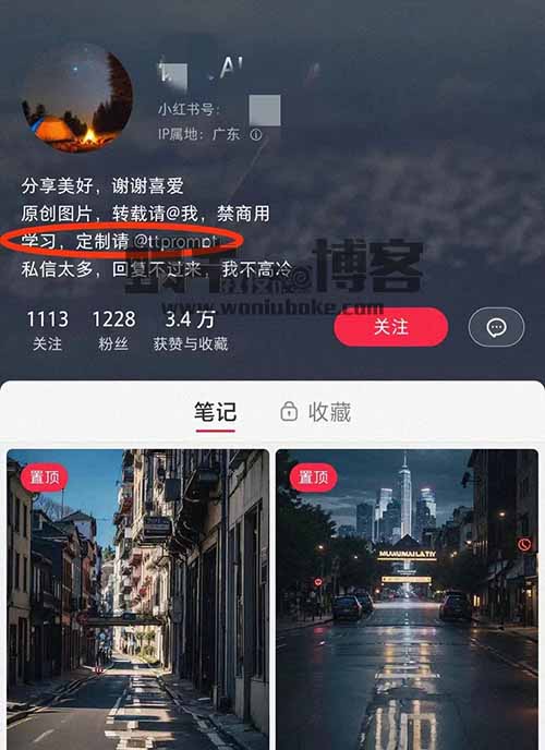 光影艺术图，AI风口项目，软件生成，市场需求大（附制作教程与模型）