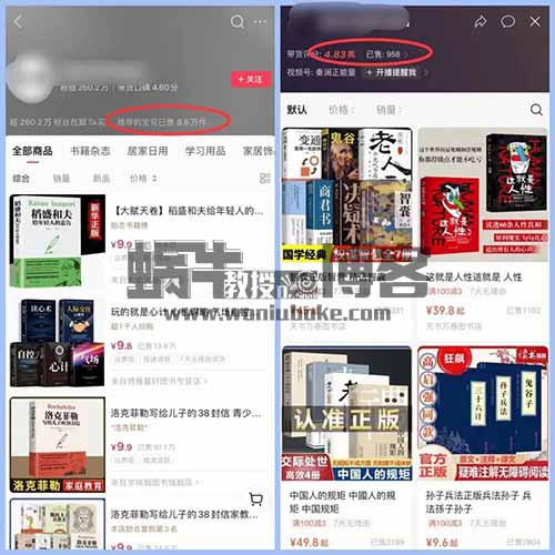 短视频个人成长，为人处世类的账号赚钱项目拆解，新流量玩法月入2W+