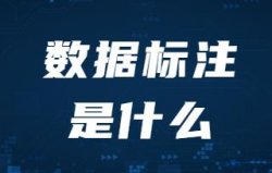 在央视上报道的项目就一定赚钱吗？AI智能数据标注（标识）项目可靠性分析，附带渠道