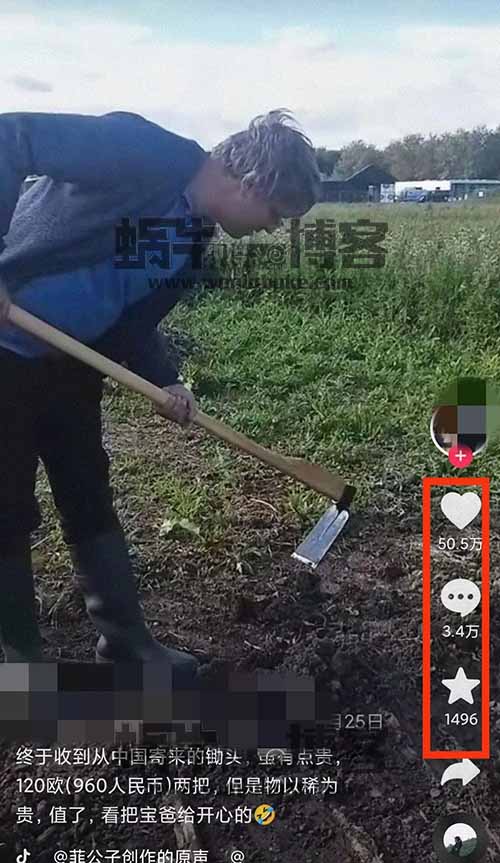 三农领域冷门赛道，无门槛适合新人，操作简单销量大