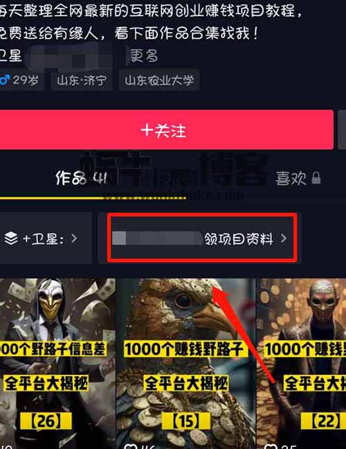 冷门信息差变现新思路！野路子信息差日入300+