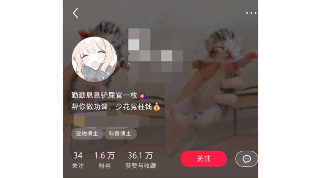 一个月涨粉1w+的宠物赛道新玩法,附带项目详细玩法