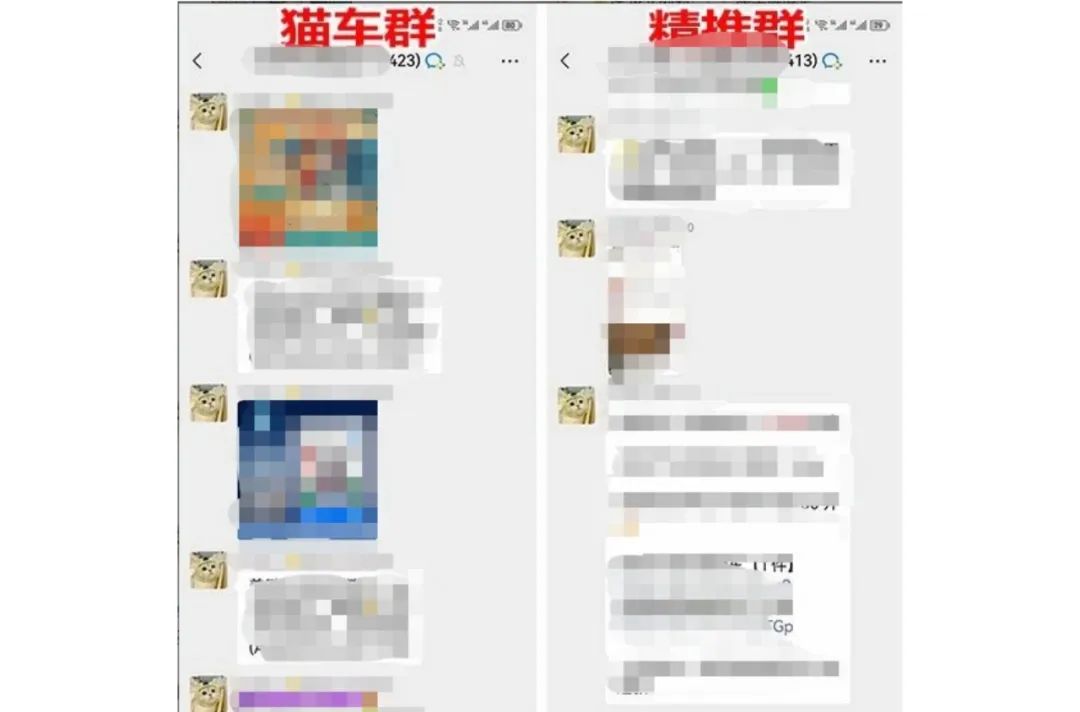 一个月涨粉1w+的宠物赛道新玩法,附带项目详细玩法