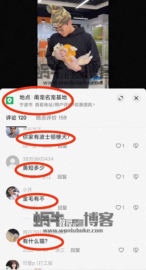 自带流量，宠爱与陪伴的时代来了，同城萌宠市场的风口红利