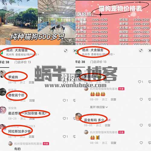 自带流量，宠爱与陪伴的时代来了，同城萌宠市场的风口红利