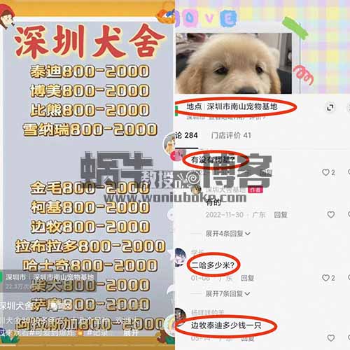 自带流量，宠爱与陪伴的时代来了，同城萌宠市场的风口红利