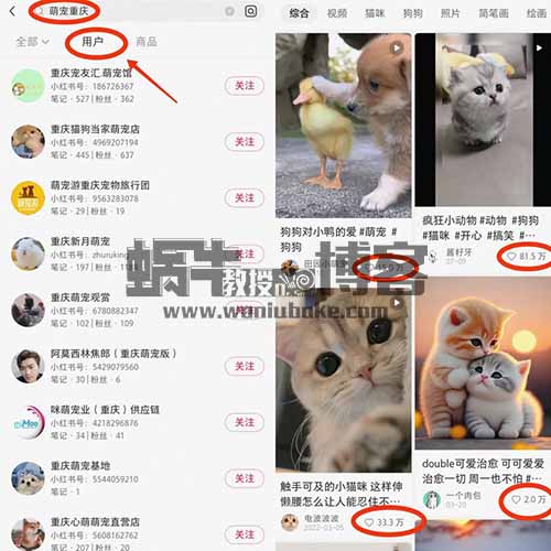 自带流量，宠爱与陪伴的时代来了，同城萌宠市场的风口红利