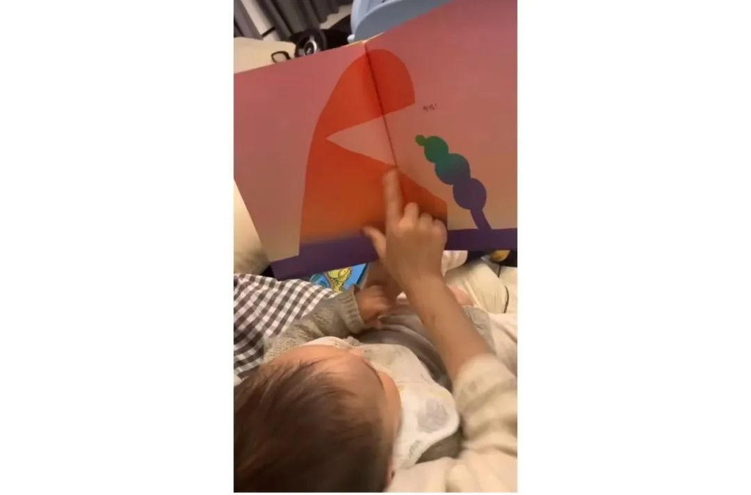 真人读绘本项目单月销售3w+