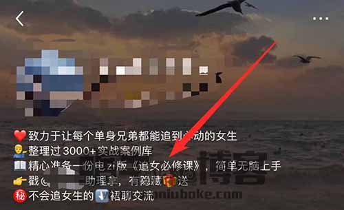 小红书情感项目，保姆式教程，可日入500+