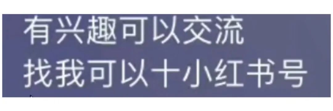 小红书情趣项目单月出单1w+