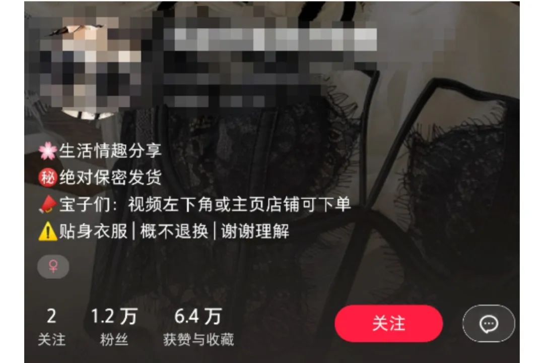 小红书情趣项目单月出单1w+