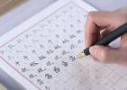 零成本日入300+，小白每天操作10分钟，视频号字帖项目拆解玩法