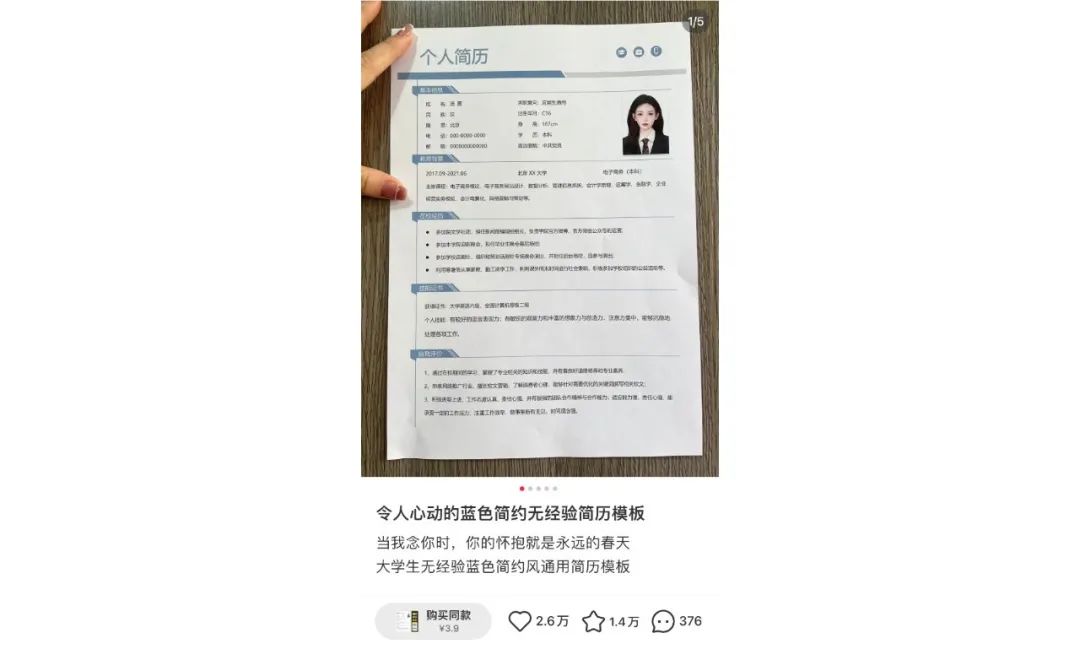 小红书简历模板项目，单月出单1w+