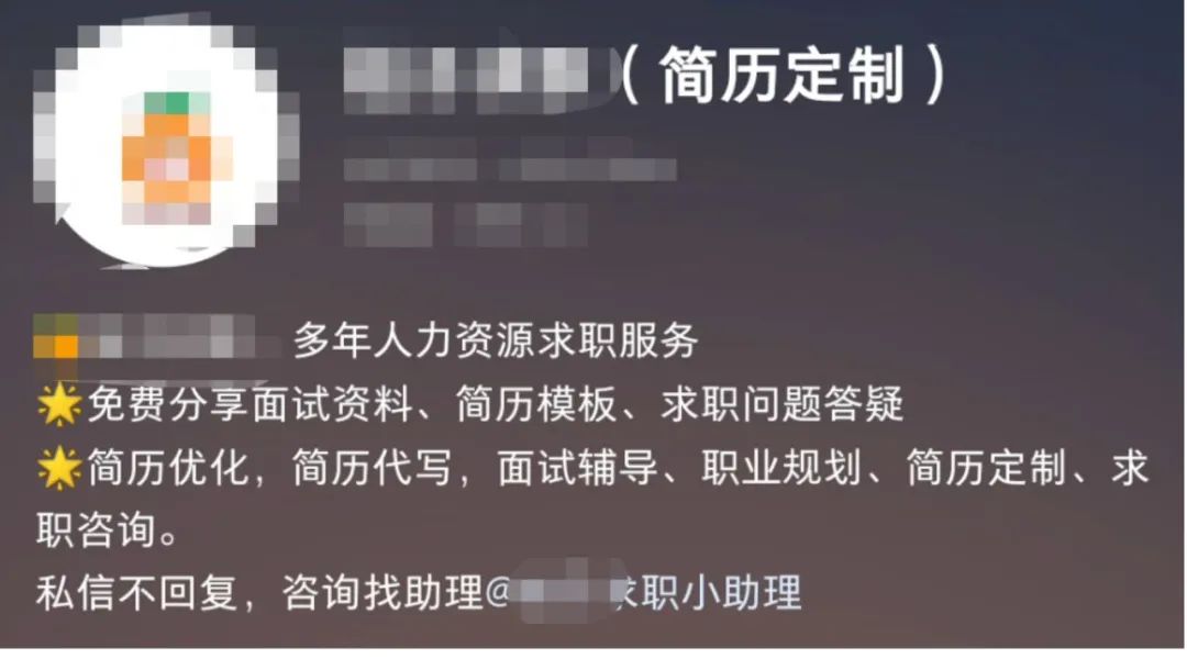 小红书简历模板项目，单月出单1w+