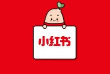 小红书图文问答项目，操作简单，月入过万