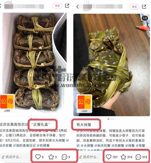 小红书微瑕疵带货，1篇笔记销量1200+