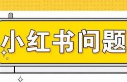 小红书图文问答项目，操作简单，人人都能上手实操