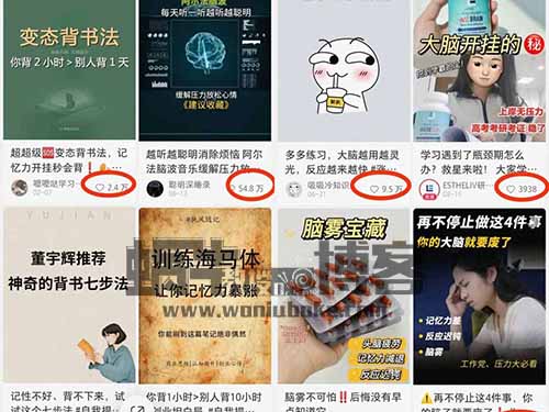 一单利润19.9，零成本零门槛，新手也能操作的提升记忆力方法项目