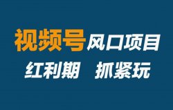 视频号搬砖项目之萌娃表情包，操作简单，单日300+