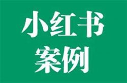 分享5个小红书快速起号涨粉赚钱案例，小白也能轻松操作