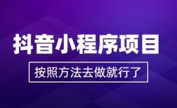 AI项目搬砖，抖音小程序撸金项目，最快当天就有收益