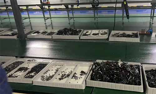 视频代拍项目怎么做赚钱,一小时50无脑操作