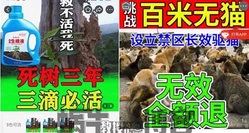 京东维权赔付项目，一单500+，此文只做拆解