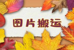 图虫APP搬运一元一单，收益无上限，这个项目值得做！