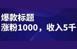 只靠1个爆款标题，涨粉1000个，收益5000+