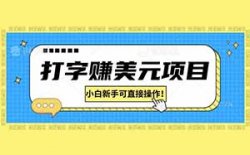 分享一个打字赚美元项目！免费平台！小白新手可直接操作