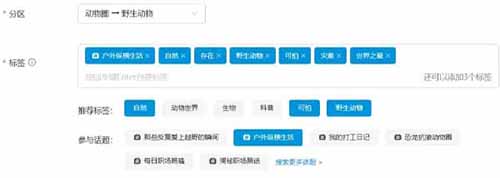 单号收益300+,普通人也能入驻B站