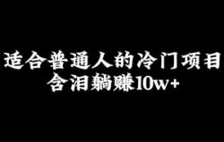 冷门工具项目，月销万单，含泪躺赚10w+