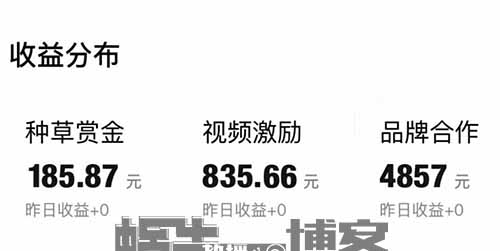 得物好物蓝海副业项目,得物种草每天两小时,小白也能轻松月入过万