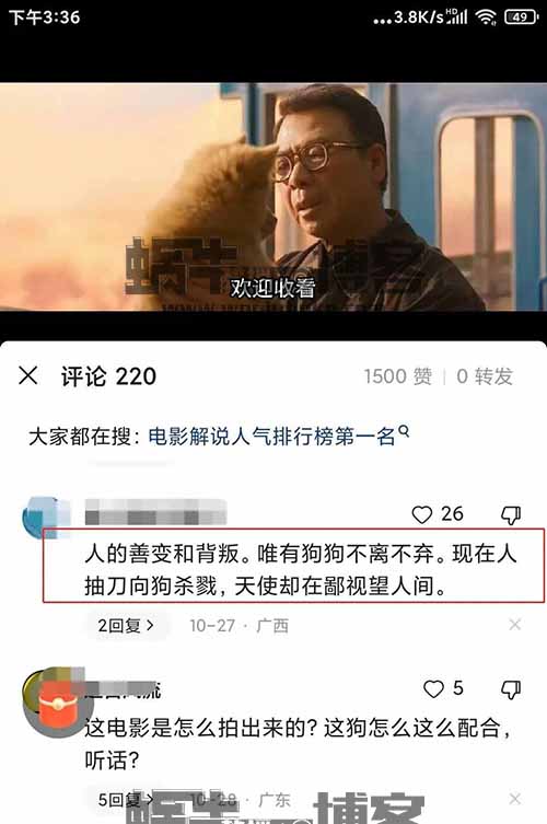 转发视频就能收入300+