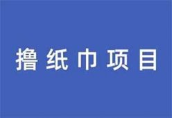 撸纸巾项目最新玩法，简单易上手，日入300+