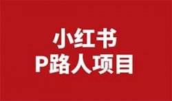 小红书P路人项目，一单19.9，日入500+