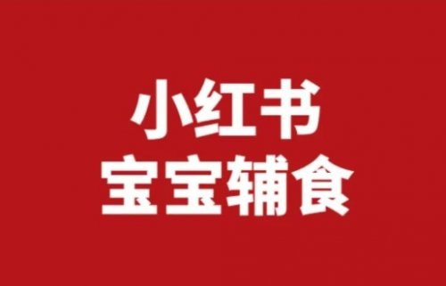 小红书宝宝辅食项目,轻松实现月入过万,附带项目素材