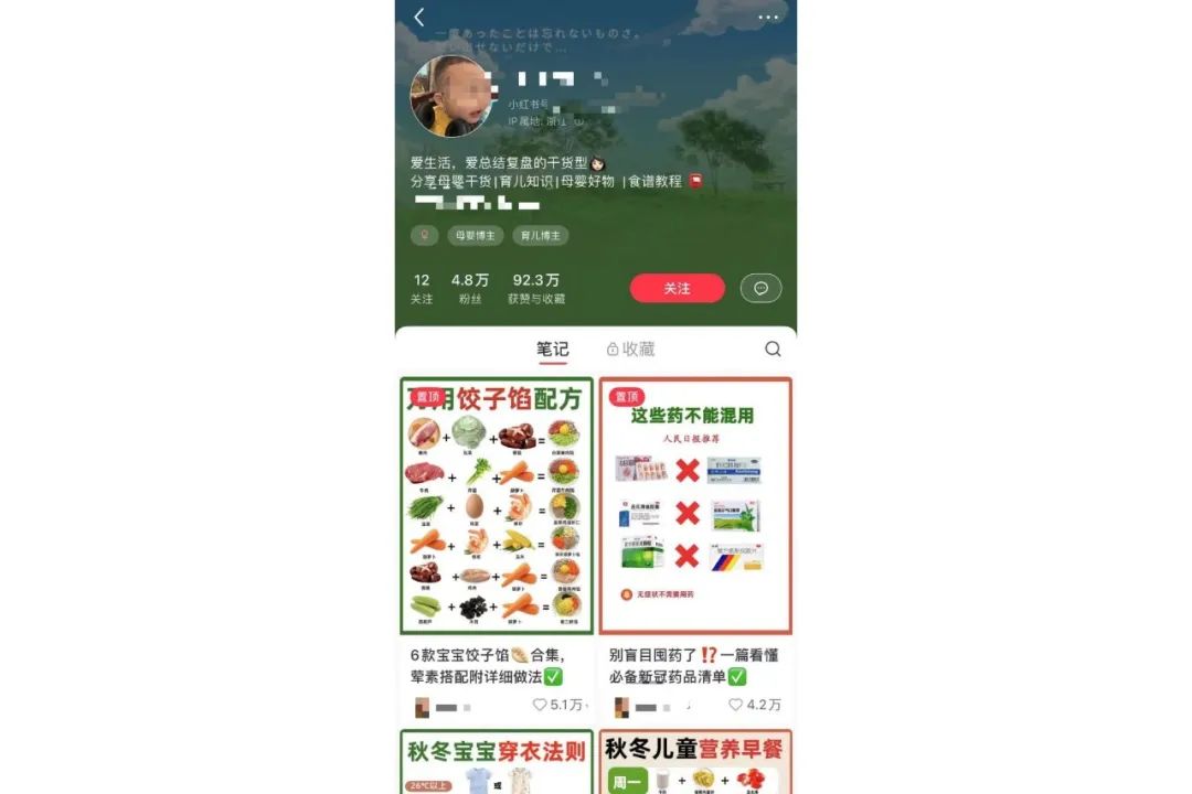 小红书宝宝辅食项目,轻松实现月入过万,附带项目素材