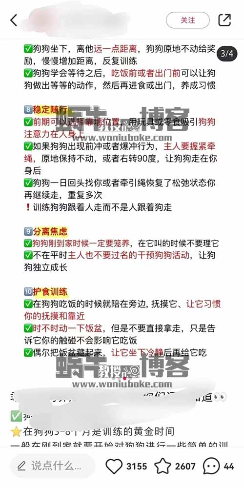 冷门训狗项目，虚拟资源项目操作简单，一单利润99+