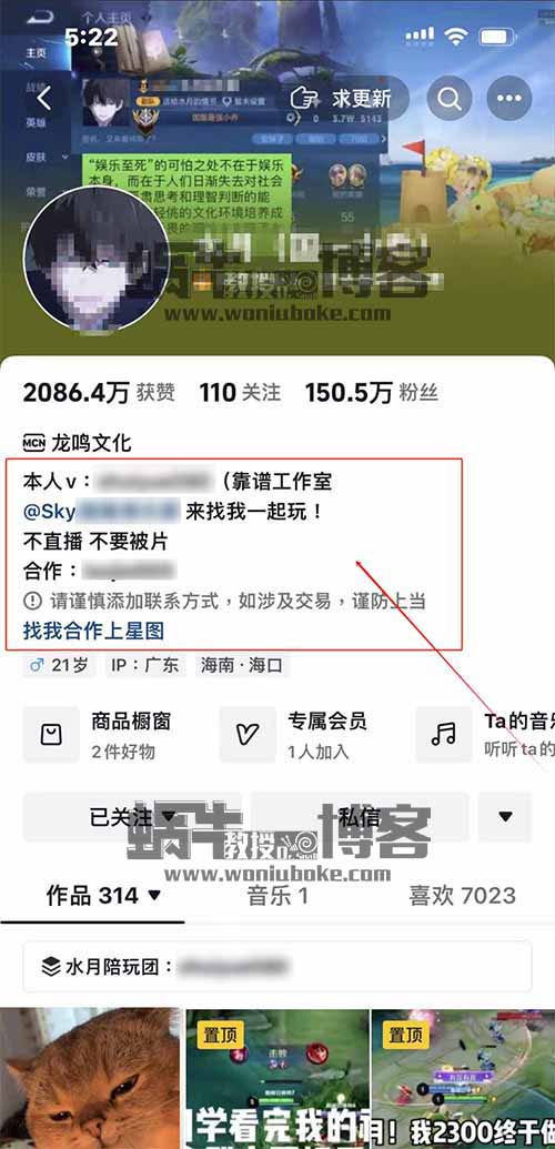 游戏变现项目王者荣耀，9.9元/单