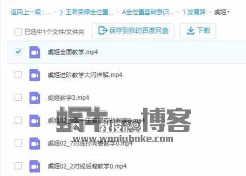 游戏变现项目王者荣耀，9.9元/单