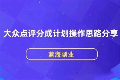 最新蓝海风口大众点评分成计划，中视频副业玩法新操作思路，玩法无私分享给你