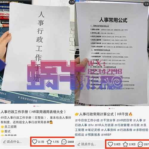 HR虚拟资料变现一单19.9到39.9，快布局这个年后热门需求项目